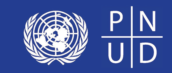 Vagas de estágio para o programa da ONU
