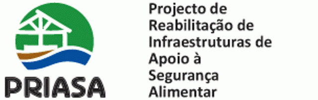 Contratação de serviço de consultoria para PRIASA